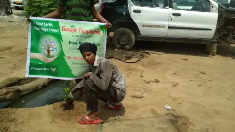 Tree Plantation 2019 – Punjab