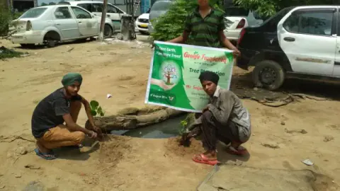 Tree Plantation 2019 – Punjab