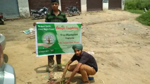 Tree Plantation 2019 – Punjab