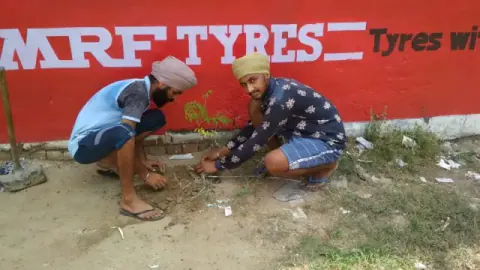 Tree Plantation 2019 – Punjab