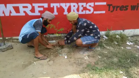 Tree Plantation 2019 – Punjab