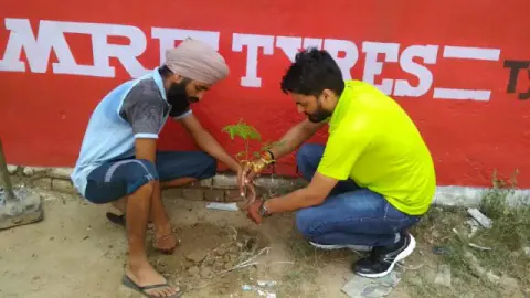 Tree Plantation 2019 – Punjab