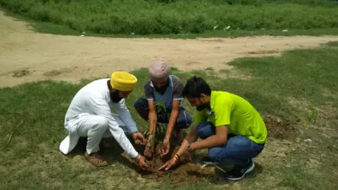 Tree Plantation 2019 – Punjab