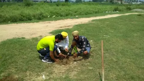 Tree Plantation 2019 – Punjab