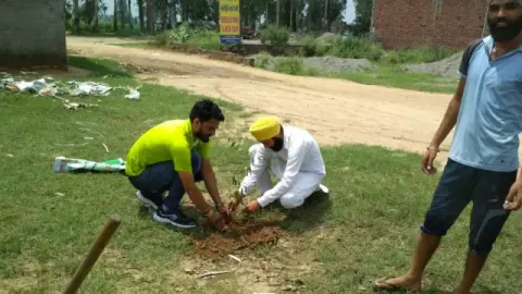 Tree Plantation 2019 – Punjab