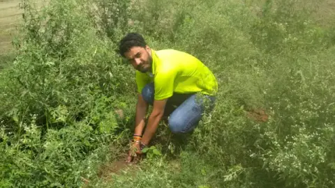 Tree Plantation 2019 – Punjab