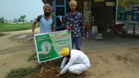 Tree Plantation 2019 – Punjab