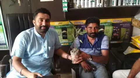 Tree Plantation 2019 – Punjab