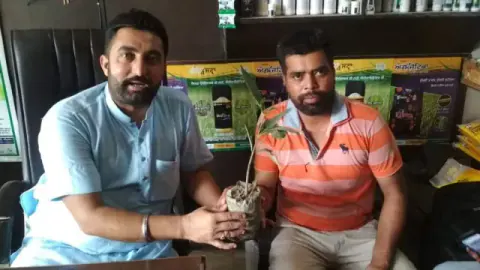 Tree Plantation 2019 – Punjab