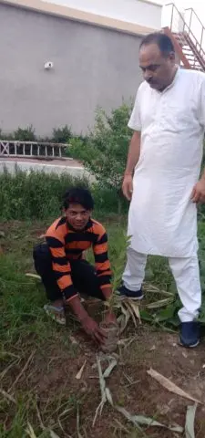 Tree Plantation 2019 – Punjab