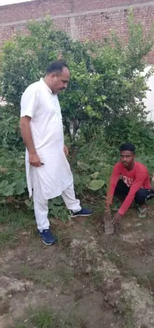 Tree Plantation 2019 – Punjab