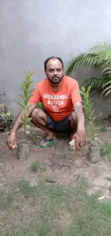 Tree Plantation 2019 – Punjab