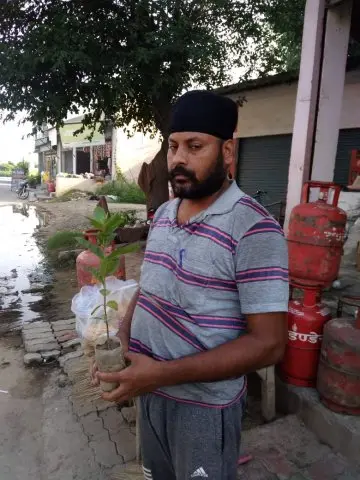 Tree Plantation 2019 – Punjab