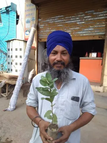 Tree Plantation 2019 – Punjab