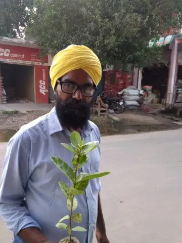 Tree Plantation 2019 – Punjab
