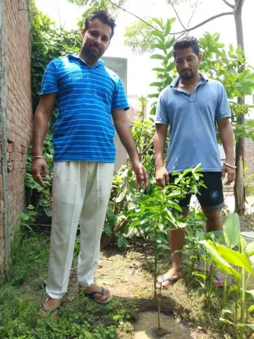 Tree Plantation 2019 – Punjab