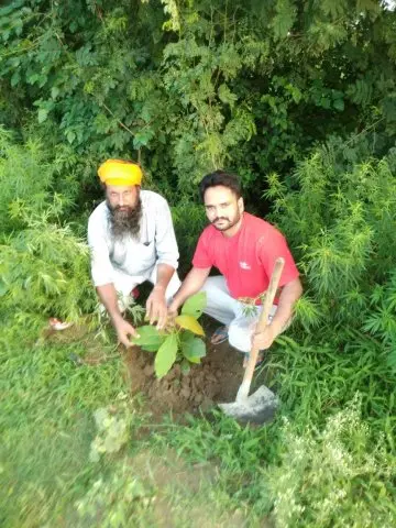 Tree Plantation 2019 – Punjab