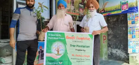 Tree Plantation 2019 – Punjab