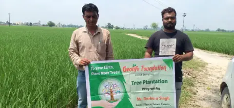 Tree Plantation 2019 – Punjab