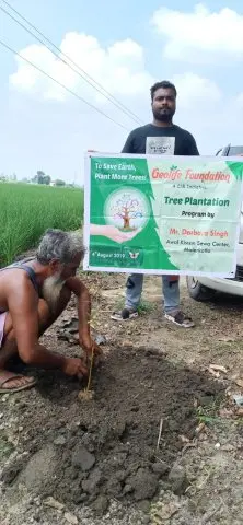 Tree Plantation 2019 – Punjab
