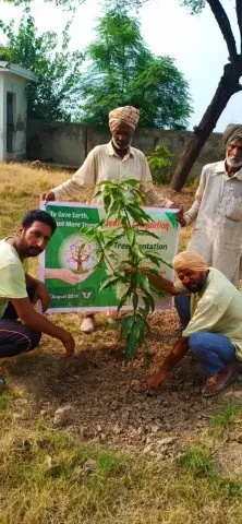 Tree Plantation 2019 – Punjab
