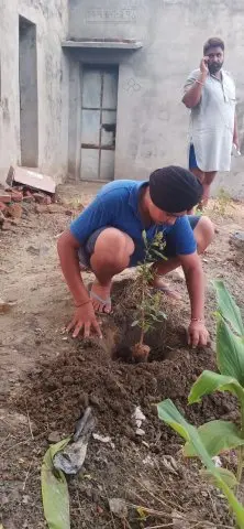 Tree Plantation 2019 – Punjab
