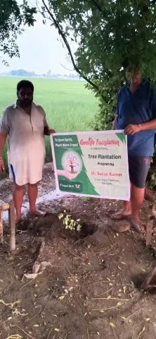 Tree Plantation 2019 – Punjab