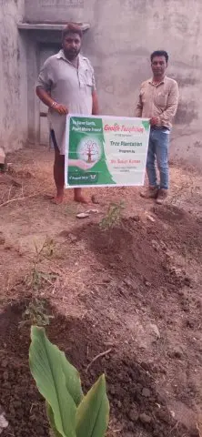 Tree Plantation 2019 – Punjab