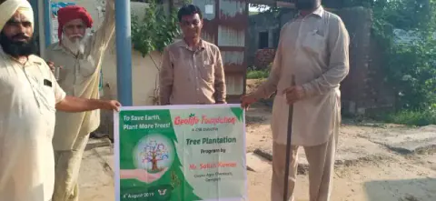Tree Plantation 2019 – Punjab