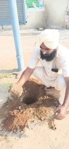 Tree Plantation 2019 – Punjab