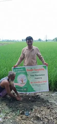 Tree Plantation 2019 – Punjab