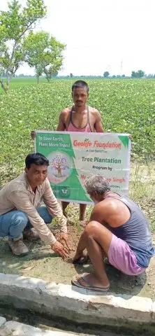 Tree Plantation 2019 – Punjab