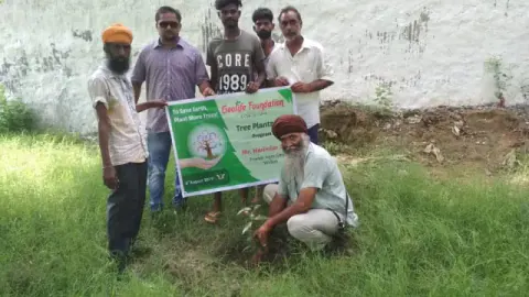 Tree Plantation 2019 – Punjab