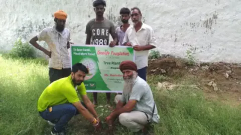 Tree Plantation 2019 – Punjab