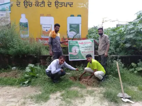 Tree Plantation 2019 – Punjab