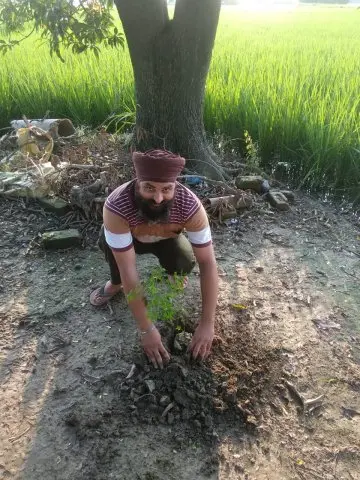 Tree Plantation 2019 – Punjab