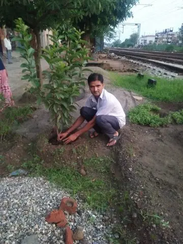 Tree Plantation 2019 – Punjab