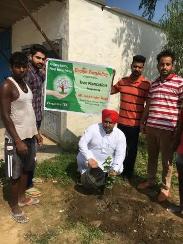 Tree Plantation 2019 – Punjab