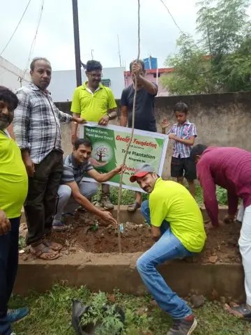 Tree Plantation 2019 – Raipur