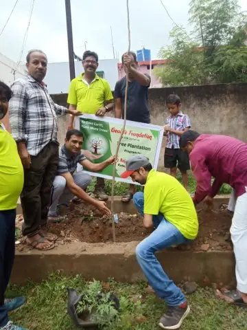 Tree Plantation 2019 – Raipur