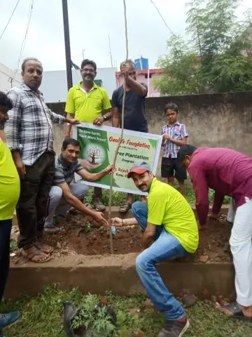 Tree Plantation 2019 – Raipur