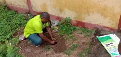 Tree Plantation 2019 – Rajim