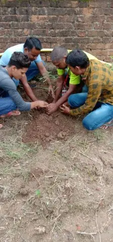Tree Plantation 2019 – Rajim