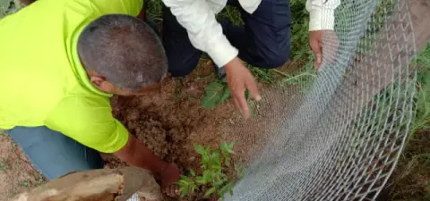 Tree Plantation 2019 – Rajim