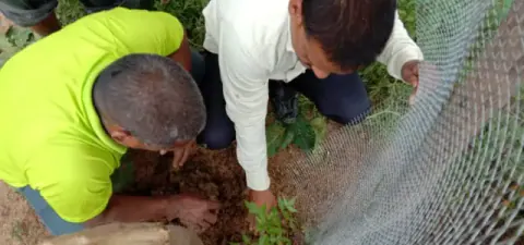 Tree Plantation 2019 – Rajim