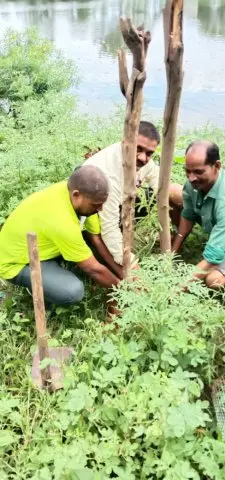 Tree Plantation 2019 – Rajim