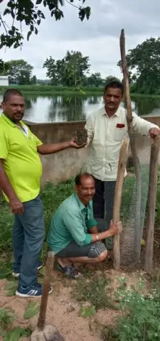 Tree Plantation 2019 – Rajim