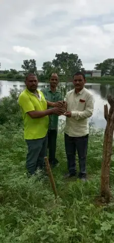Tree Plantation 2019 – Rajim