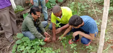 Tree Plantation 2019 – Rajim