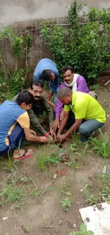 Tree Plantation 2019 – Rajim